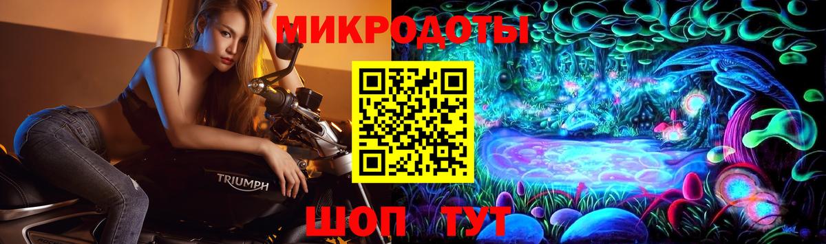 Псилоцибиновые грибы GOLDEN TEACHER Ленинск-Кузнецкий